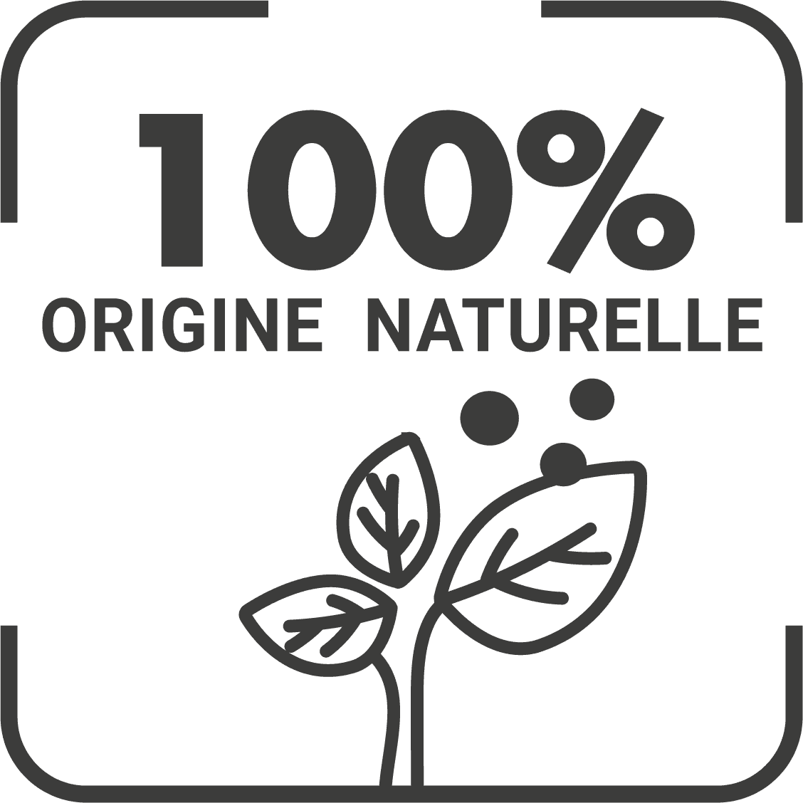 Gamarde 100% природно потекло на активи